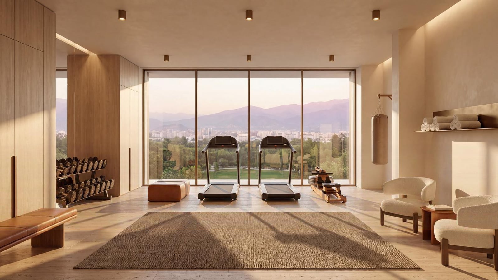 The fitness centre in pale timber and stone, two treadmills facing a wall of glass onto the park and the mountains, with weights and lounge chairs to either side.